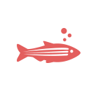 Zebrafish