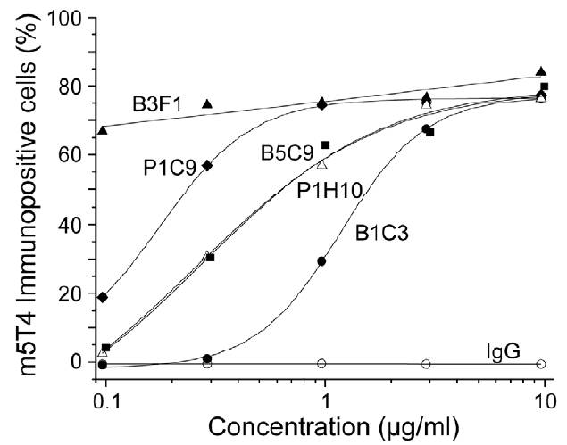 Titration of mAb cell surface labeling of B16m5T4 tumor cells by flow cytometry. Cells were suspended in FACS buffer (PBS, 0.2% bovine serum albumin, 0.1% sodium azide) and labelled with the appropriate concentration of anti-m5T4 monoclonal antibodies diluted in FACS buffer for 30 mins on ice, washed with FACS buffer and labelled with rabbit anti-mouse IgG conjugated to FITC. 10,000 events were acquired and the data obtained was analysed using WinMIDI (version 2.8) software.	
(Southgate et al. 2010. PLoS One. 5(4):e9982. PMID: 20376365)