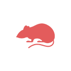 Mouse Models