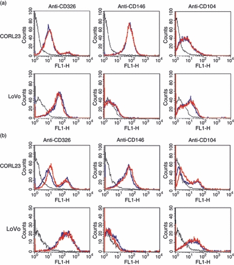 Adapted from Smith K, Malatesti N, Cauchon N, Hunting D, Lecomte R, van Lier JE, Greenman J, Boyle RW. Mono- and tri-cationic porphyrin-monoclonal antibody conjugates: photodynamic activity and mechanism of action. Immunology. 2011 Feb;132(2):256-65. doi: 10.1111/j.1365-2567.2010.03359.x. Epub 2010 Oct 29. PMID: 21039468; PMCID: PMC3045661.Conjugated and unconjugated anti-CD326, anti-CD146 and anti-CD104 were analysed by flow cytometry for binding to CORL23 and LoVo cells [black line, negative control; blue line, unconjugated antibody; red line, immunoconjugates with porphyrin 1 (a) or porphyrin 2 (b)].