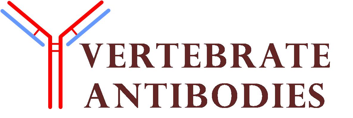 Vertebrate Antibodies Limited