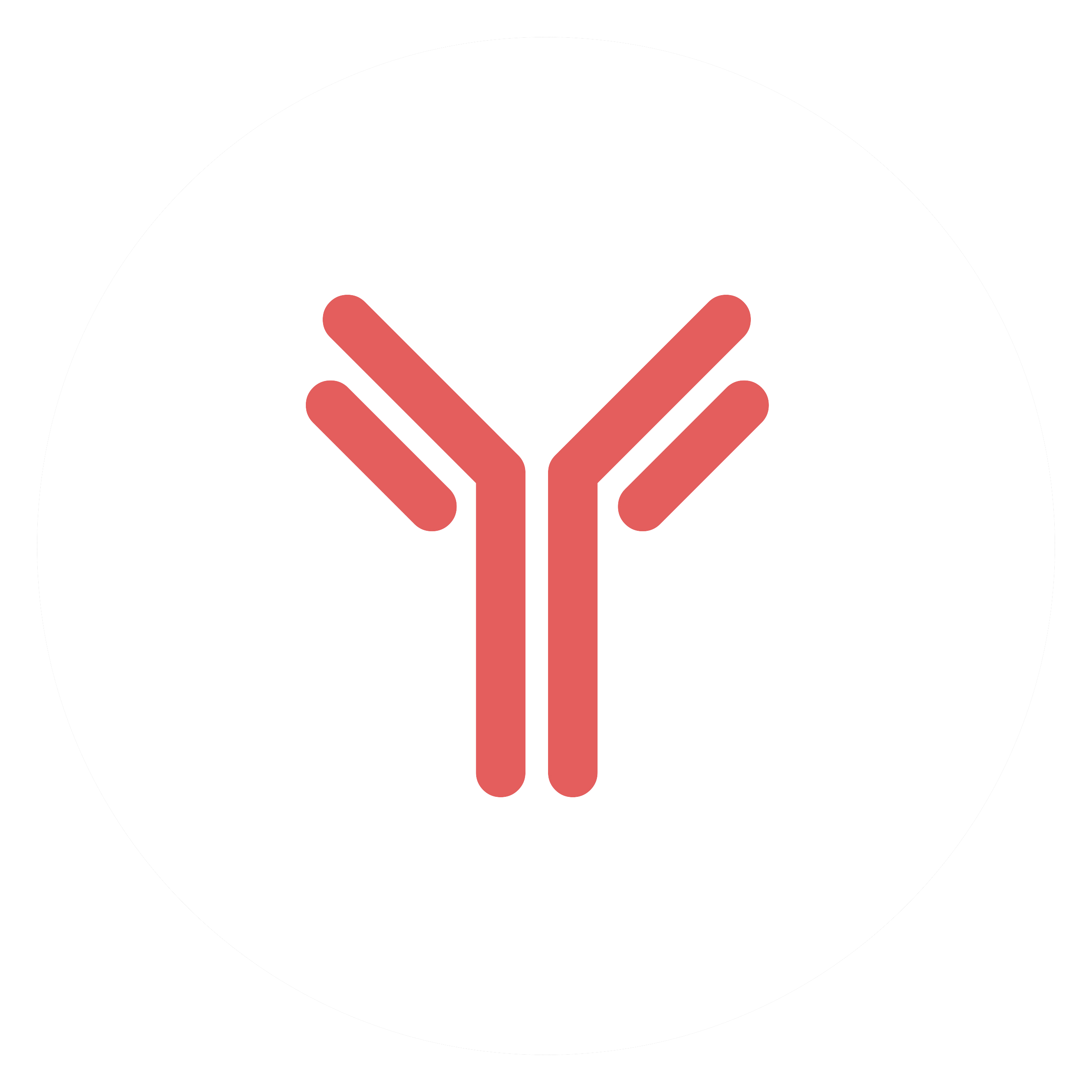 Recombinant Antibodies