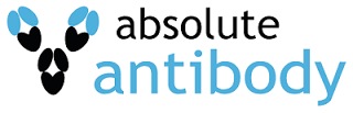 ABSOLUTE ANTIBODY