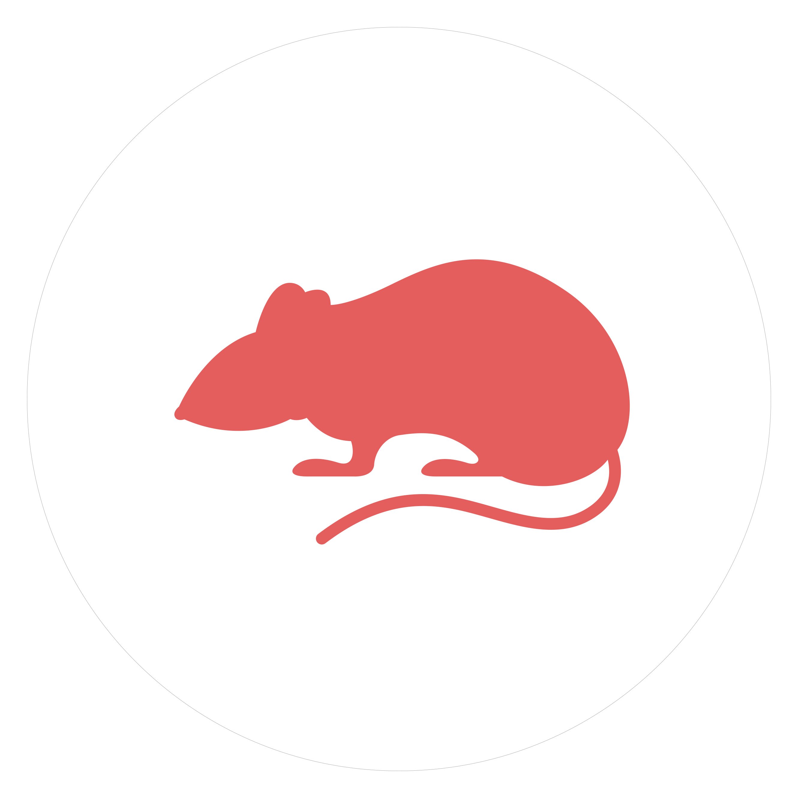 icon-02_Mouse_Models.jpg