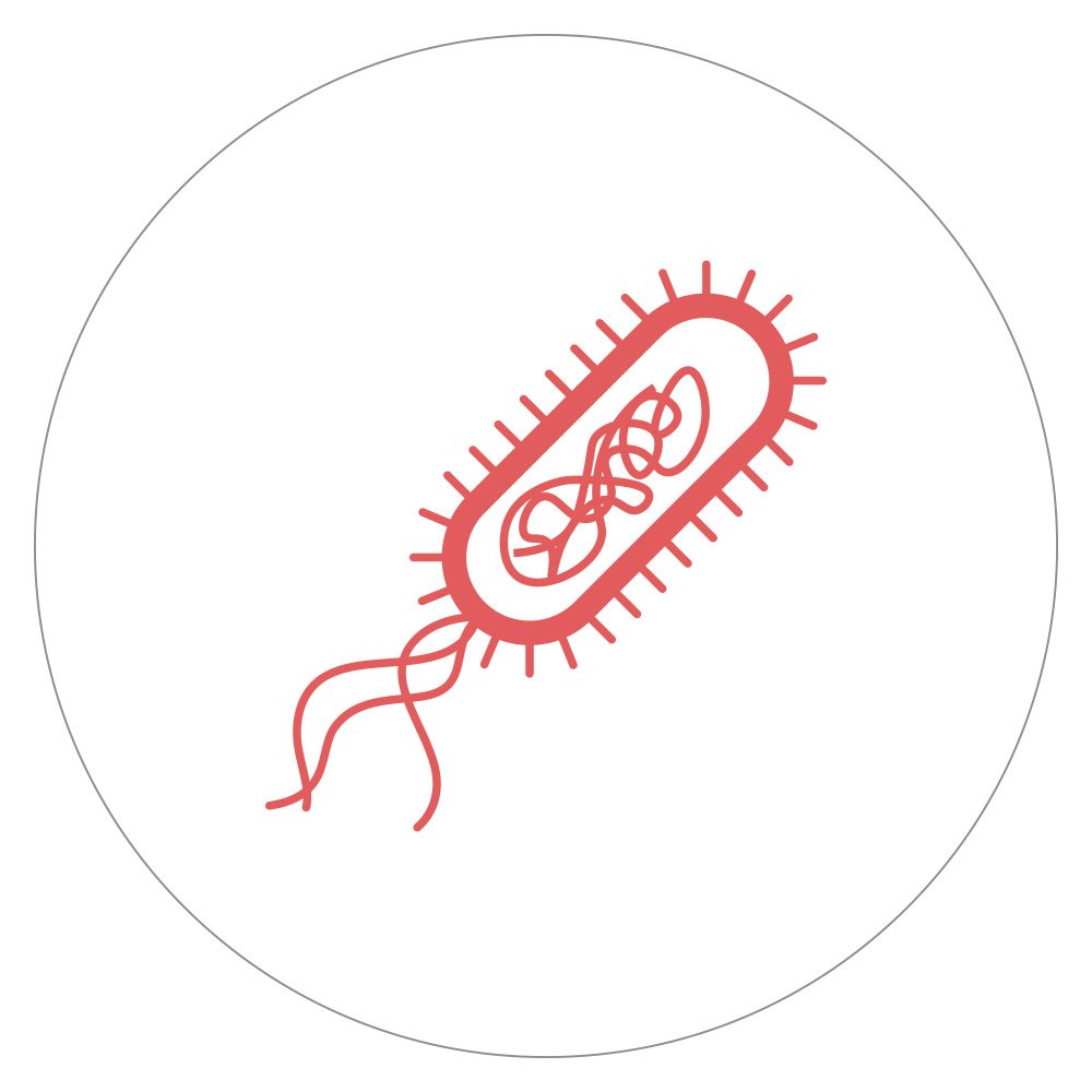 icon-bacteria-large.jpg