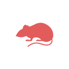 Port Mouse